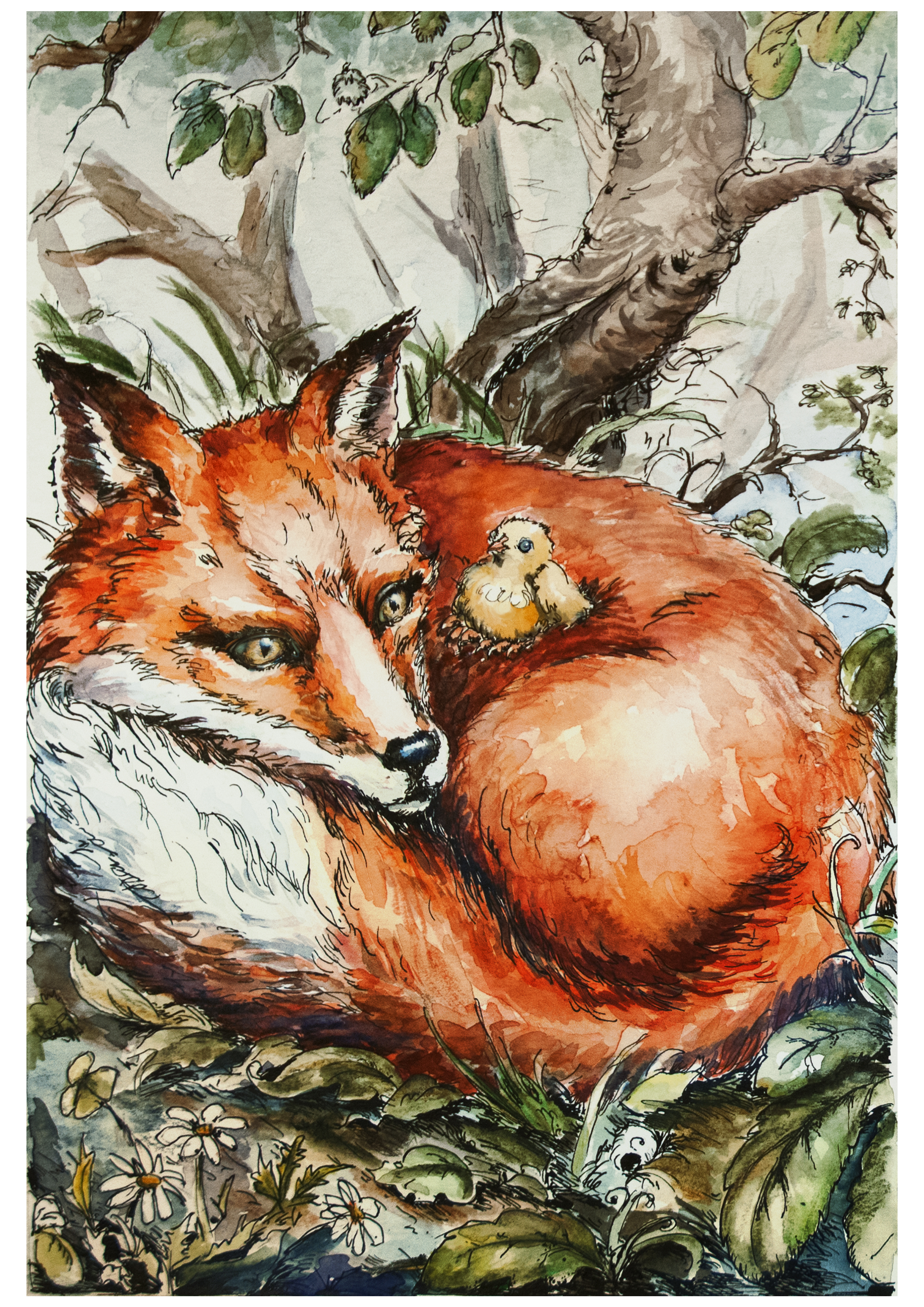 книга